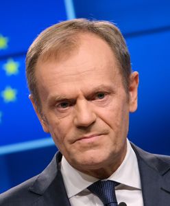 Donald Tusk "rozpracowany". Prof. Marciniak wskazała rolę byłego premiera