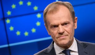 Donald Tusk "rozpracowany". Prof. Marciniak wskazała rolę byłego premiera