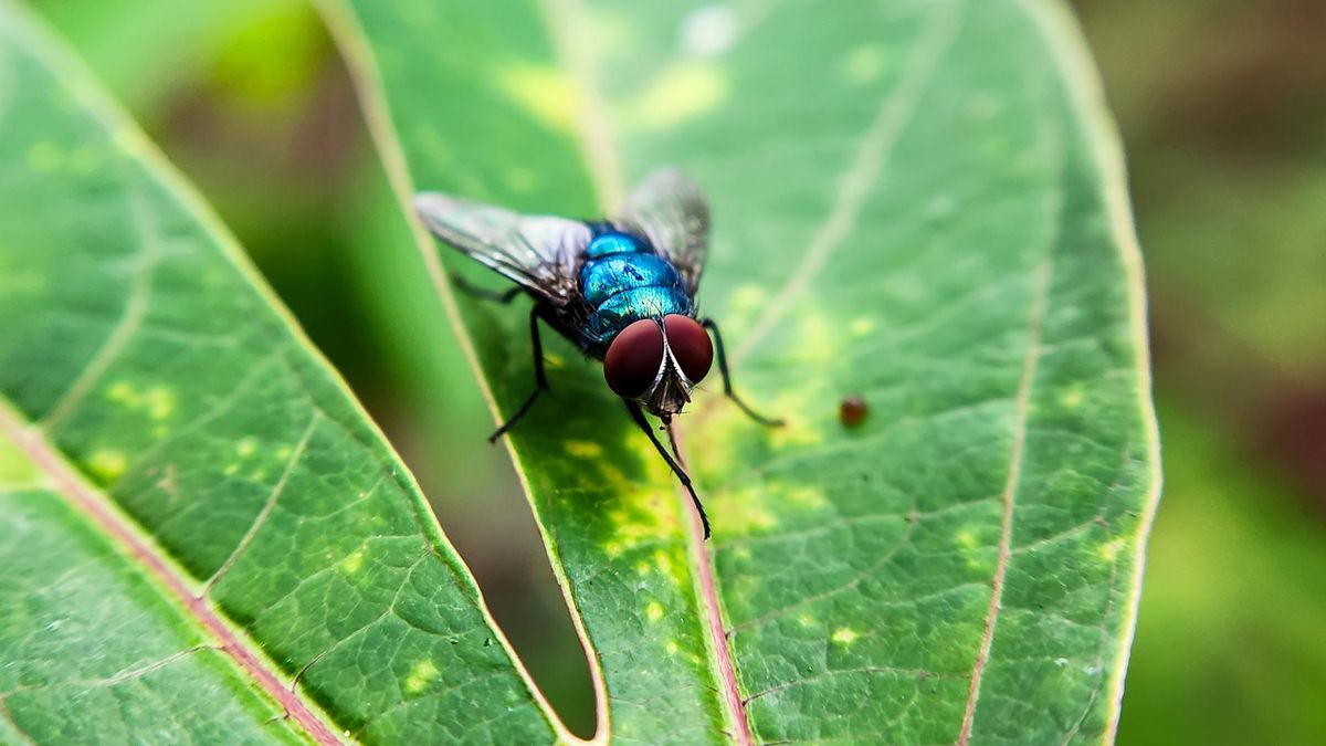 Potwierdzono zakażenie w USA