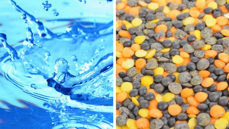 Wpływ diety na leczenie onkologiczne