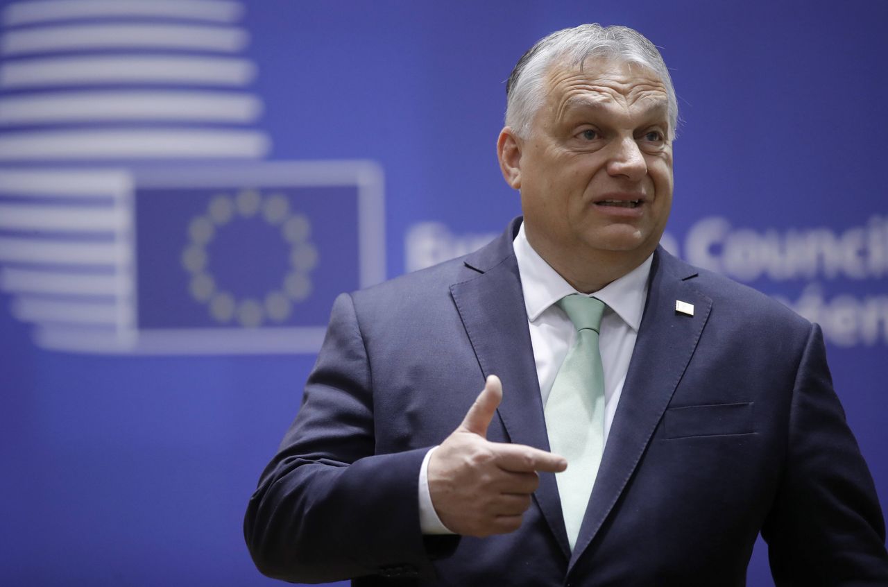 "Miejsce Ukrainy jest w NATO". Orban skomentował jednym słowem