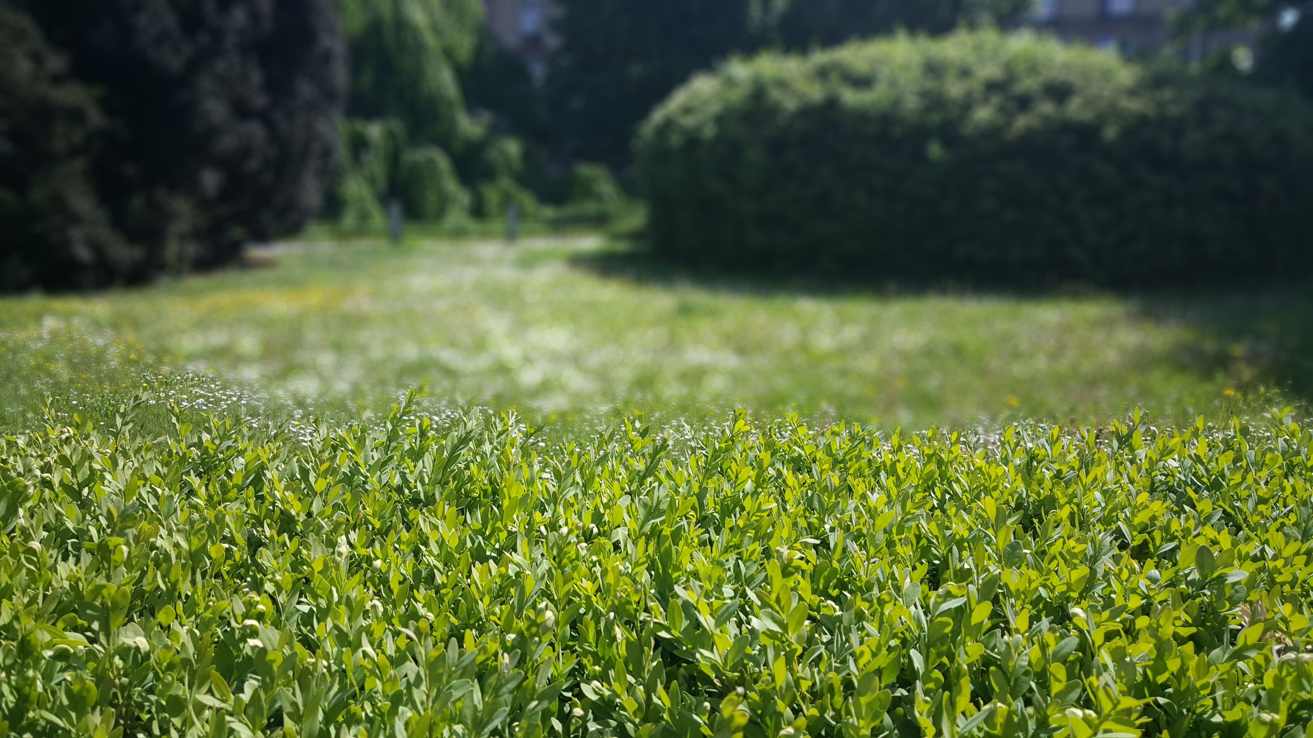 Samsung Galaxy S6 – test fotograficzny 72