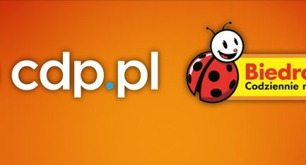 Ponad 400 tys. gier po 9,90 zł w wyprzedaży w Biedronce (lista)