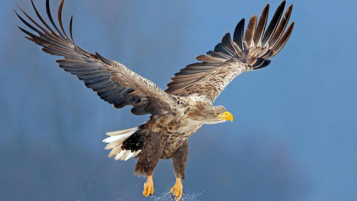 Fujifilm zaprasza na warsztaty fotografii przyrodniczej 1