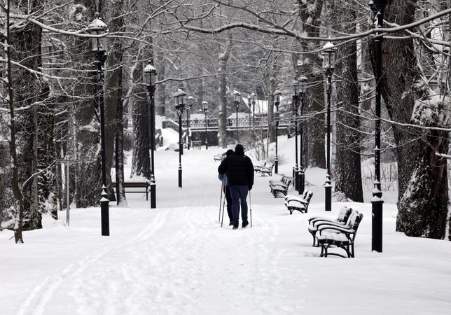 Pogoda. Piątek z kolejnymi opadami śniegu