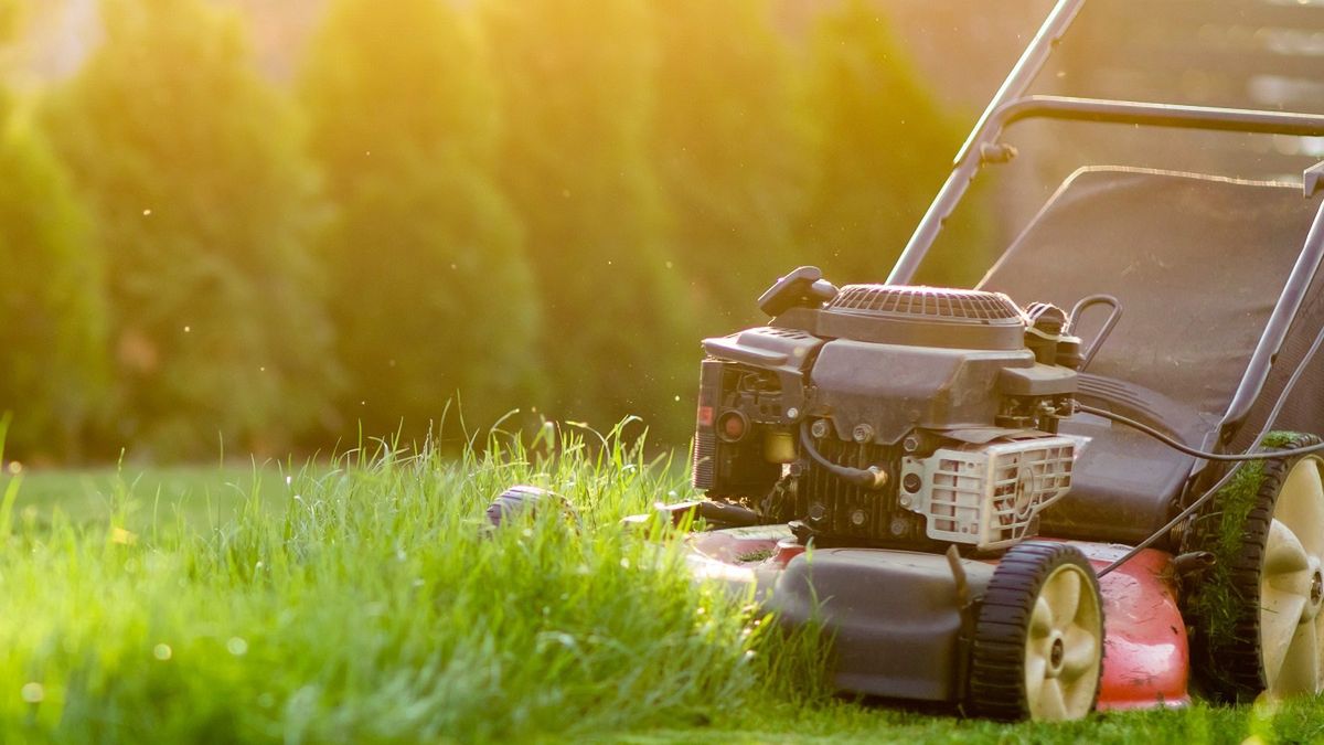Kiedy pierwszy raz kosić trawę na wiosnę? Podpowiadamy!