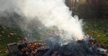 Palenie liści i gałęzi. Można dostać 500 zł mandatu