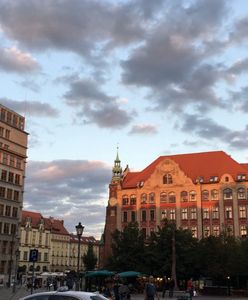 Wrocławski Budżet Obywatelski. Parki, ścieżki i Wyspa Widmo. Projekty czekają na wsparcie