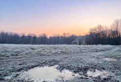 Nawet -8 st. C. Wyż Riccarda mrozi Polskę