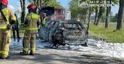 Tragiczny wypadek pod Warszawą. Elektrycznym oplem rozbił się na drzewie. Auto stanęło w ogniu. Wewnątrz zwęglone ciało kierowcy