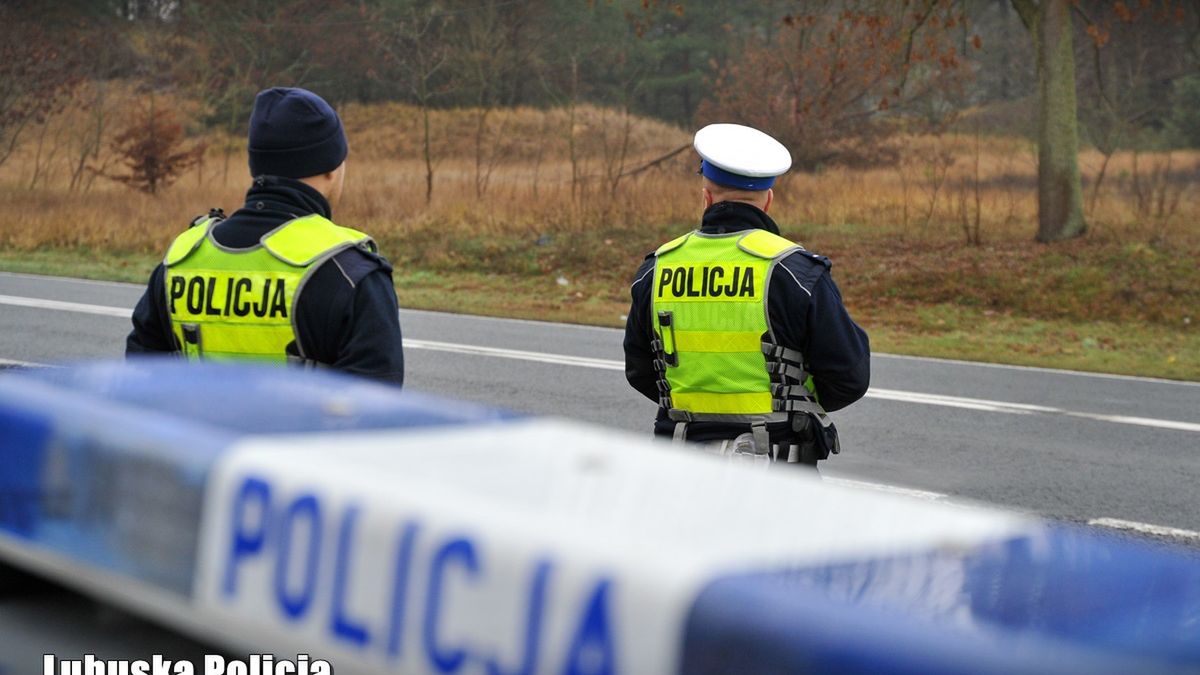 Kontrole drogowe zaczynają się już dziś i potrwają do końca ferii