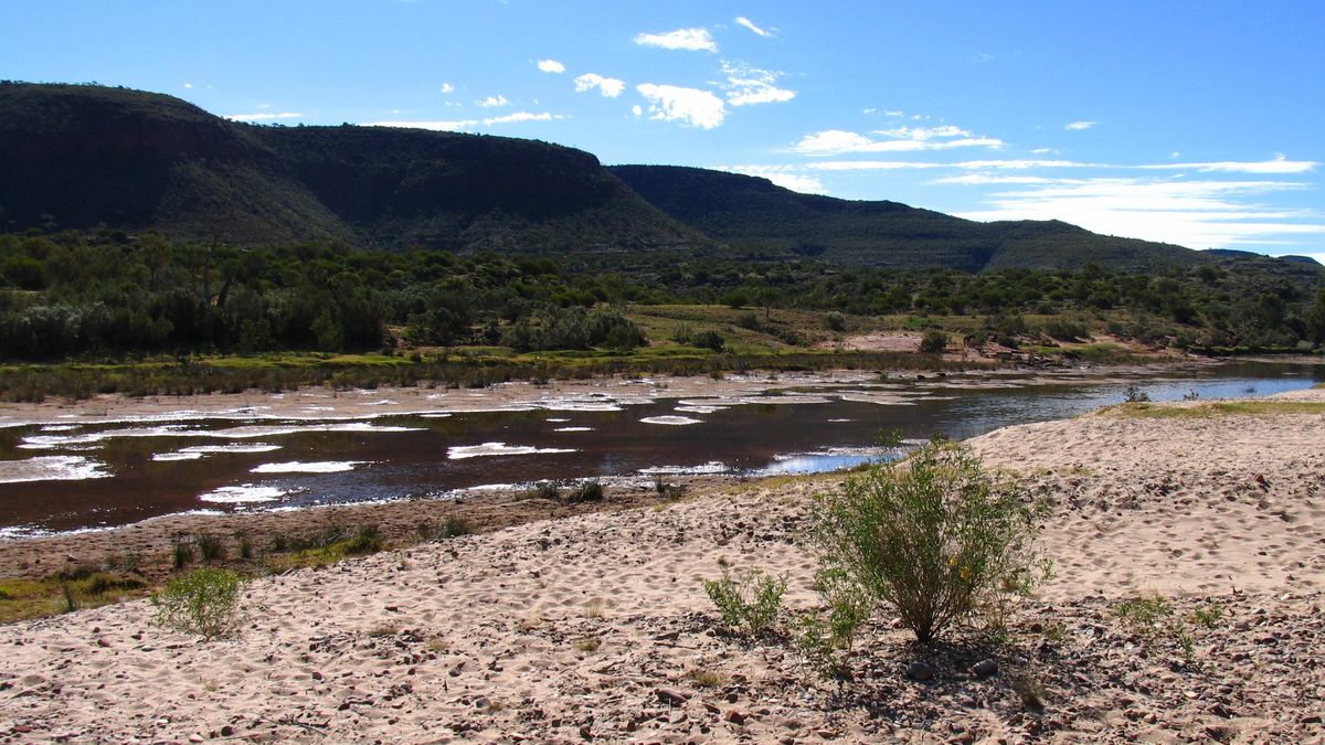 Rzeka Finke (Larapinta)