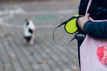 Smycz typu flexi  – hit czy kit? Mało się mówi o jej wadach