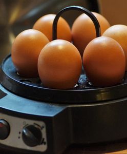 ЄС готує нову заборону, яка призведе до збільшення цін на курячі яйця