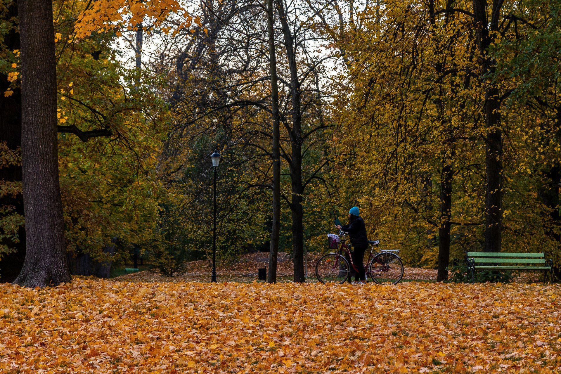 Jesienią park tętni życiem.