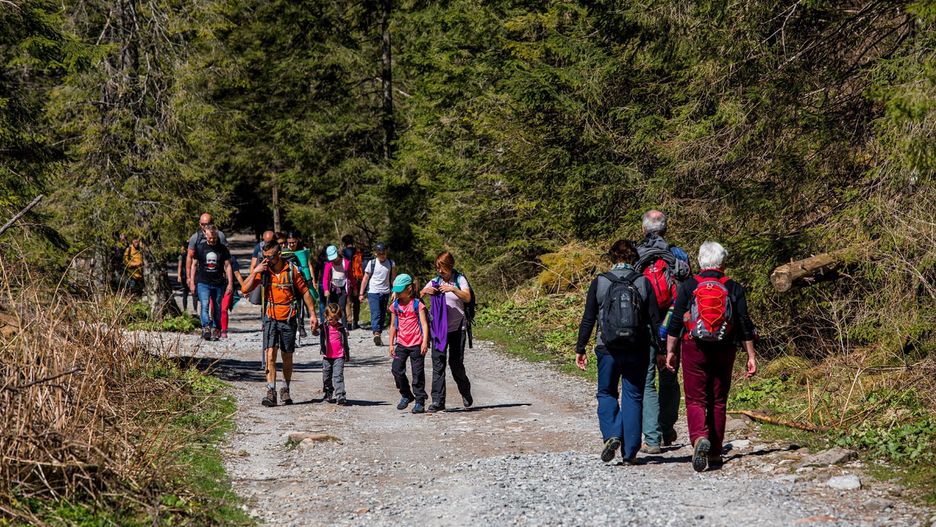 Koronawirus w Polsce. Pielęgniarka na kolonii zakażona. Dzieci miały z nią kontakt
