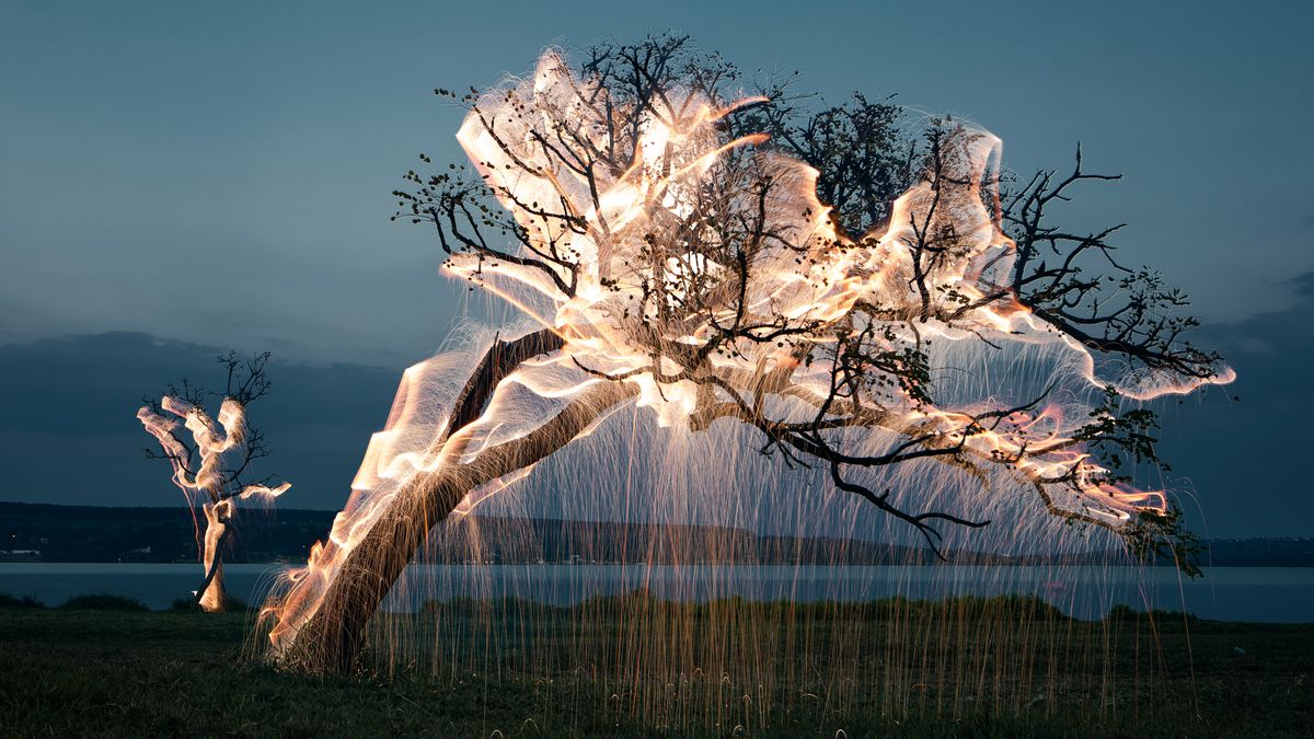 „Nietrwałe rzeźby”, czyli światło spływające z drzew 1