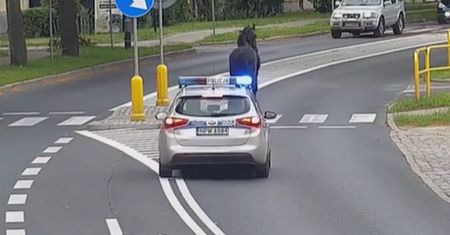 "Konik na gigancie". Nagranie z policjantami ze Szczecinka