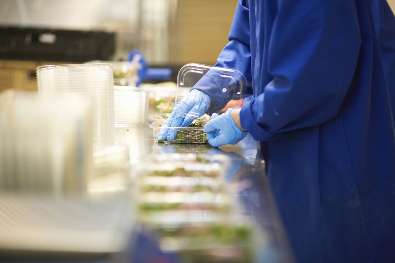 Producent sałatek zamyka zakład i zwalnia całą załogę. Tłumaczy, dlaczego
