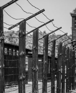 Bruno Dey, sądzony w Niemczech zbrodniarz hitlerowski, przeprasza ofiary Holokaustu