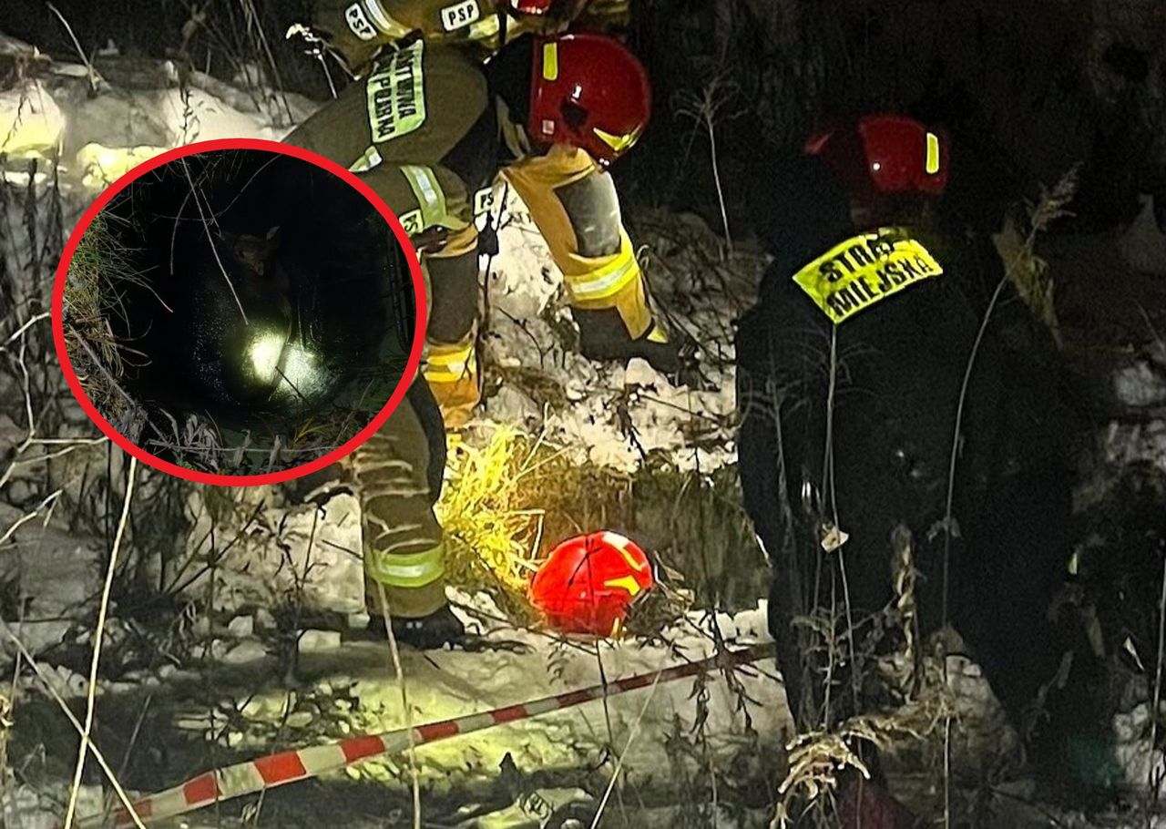 Mieszkaniec Krakowa zajrzał do studni i zdębiał. Wezwał służby