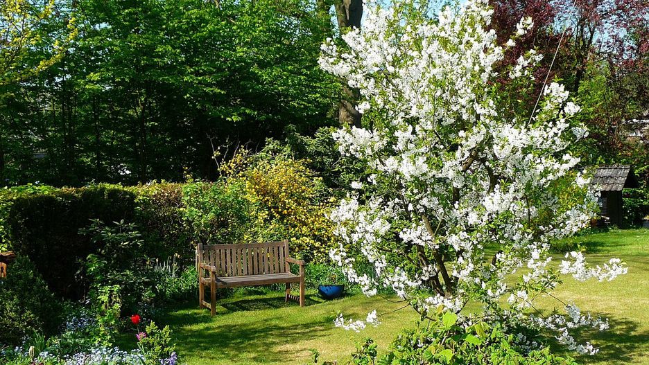 Zastrzyk finansowy dla ogródków działkowych