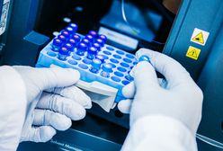 Koronawirus w Polsce. Wrocław i Dolny Śląsk. Tylko 15 tys. zakażeń. Dobre wiadomości z ministerstwa