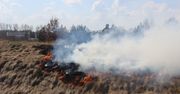 Tygodniowy raport Komendy Powiatowej PSP w Malborku