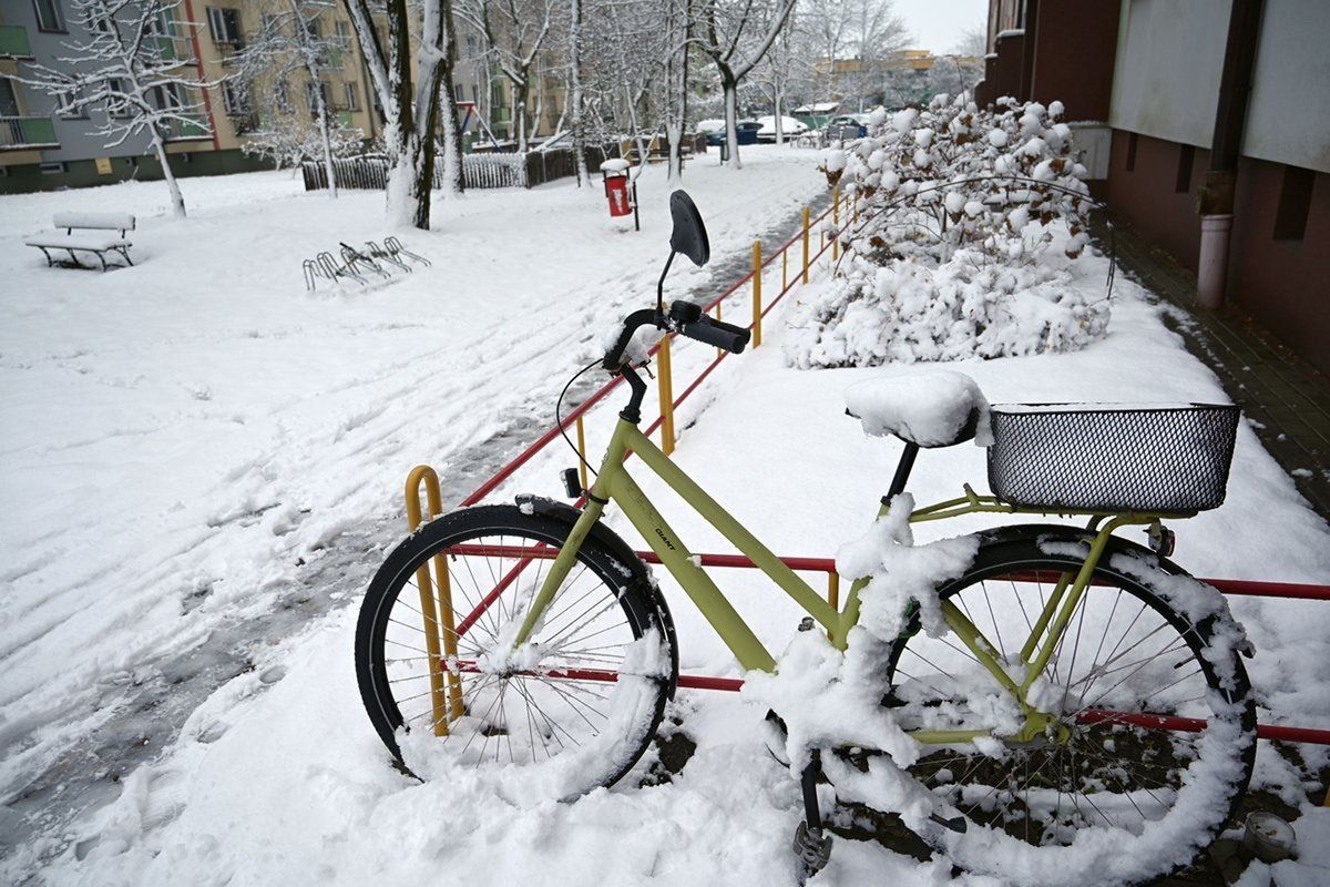 Mokry śnieg pokazał piękno wczesnej zimy