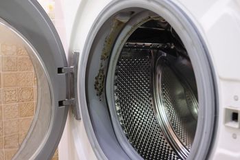 Wrzuć do bębna. Pleśń i stęchlizna przestaną być problemem