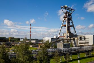 Referendum u giganta. Chcą zawieszenia świadczeń pracowniczych