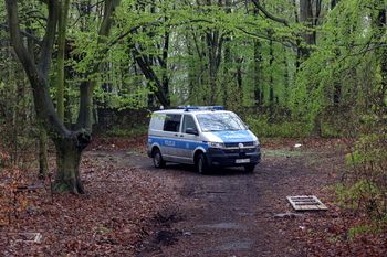 Dolnośląskie: Seria zaginięć w lasach. Policja apeluje o rozwagę