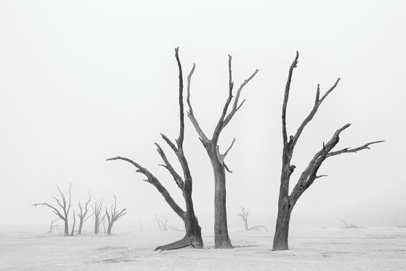 Piotr Trybalski nagrodzony w konkursie Travel Photographer of the Year 2014 16
