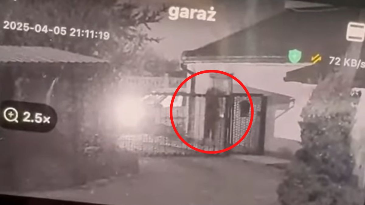 Jeździł i podrzucał szczeniaki na posesje.