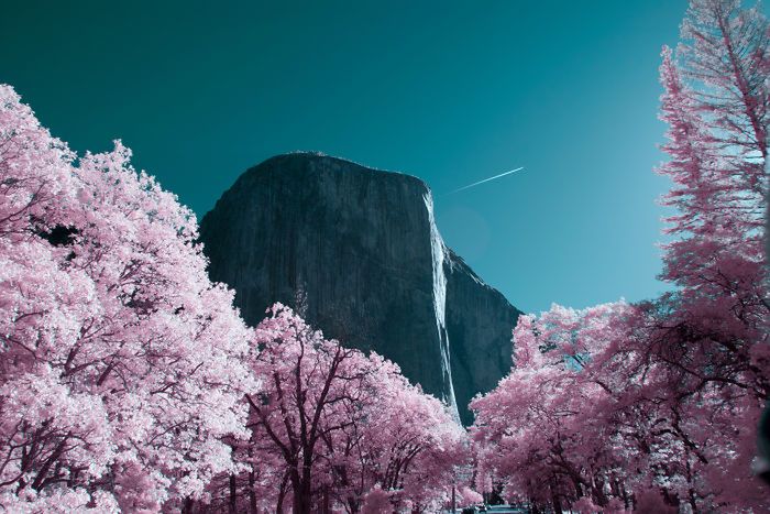 Park narodowy Yosemite wygląda w podczerwieni jak cukierkowa kraina bajek 6