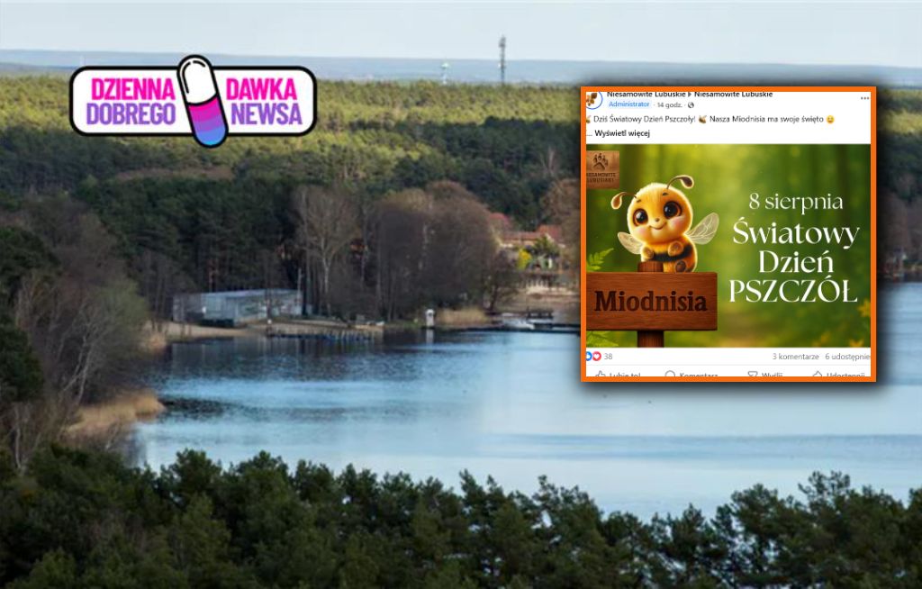 "Niesamowite Lubuskie". Tworzą wyjątkową grupę. "Coś więcej"