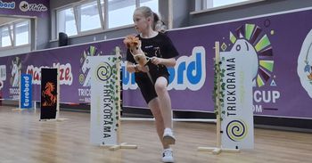Hobby Horse w Radomiu. To największe takie wydarzenie w kraju
