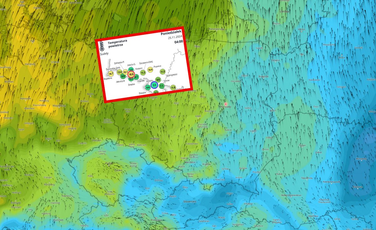 imgw, pogoda, temperatura Prawie 17 stopni. Tak ciepło było o 4 rano