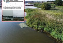 Podlewali wodą z Odry miejską zieleń? We Wrocławiu trwa wyjaśnianie