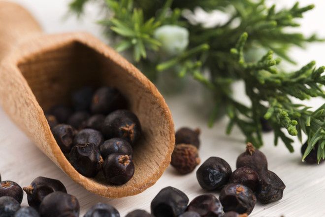 Polskie przyprawy, o których już nie pamiętamy lub niesłusznie zapominamy