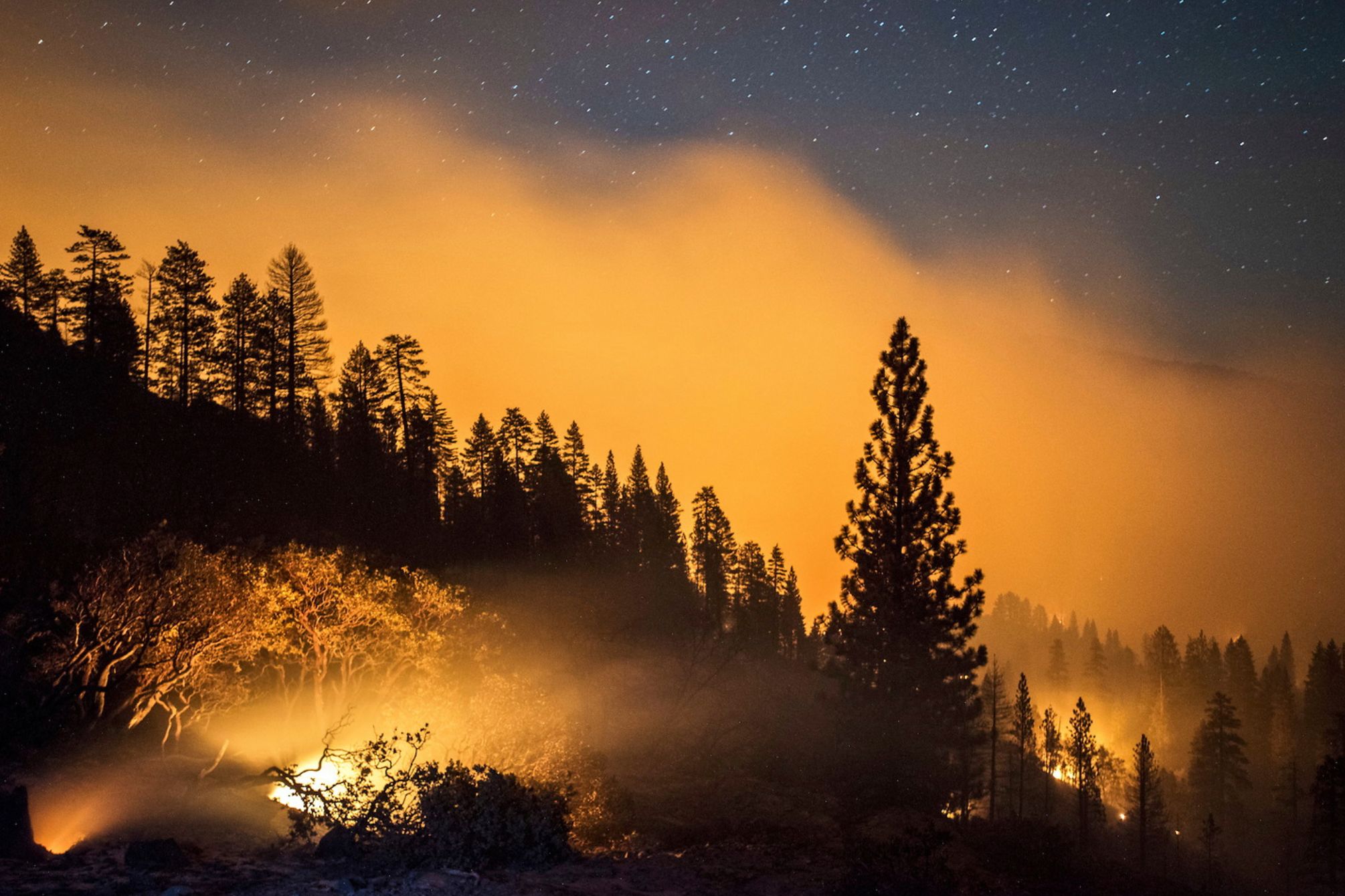 Dla fotografa płonący las może być piękny 12