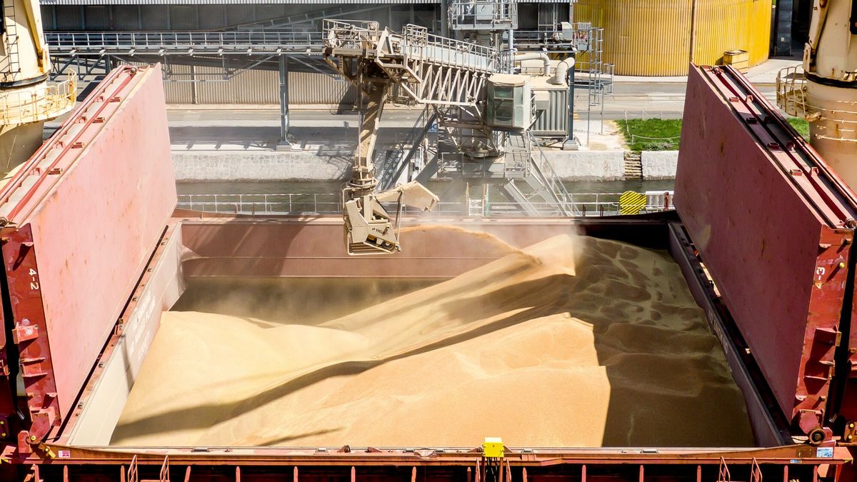 Za?adunek zbo?a w gda?skim porcie
17.07.2022 Gdansk  GBT Sp. z o.o. Gdanski Terminal Masowy - Gdansk Bulk Terminal na terenie Portu Gdansk.  Zaladunek zboza na statek CARME.  Fot. Przemek Swiderski/REPORTER
Przemek Swiderski/REPORTER