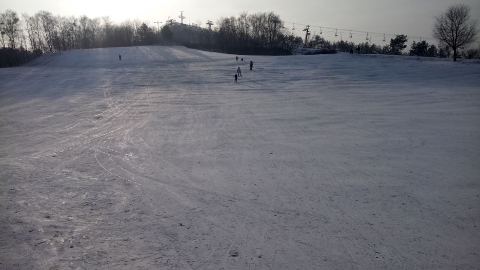 Warszawa. Saneczkarze na Górce Szczęśliwickiej
