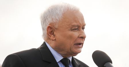 "Autentyczny rabunek". Stowarzyszenie grzybiarzy zirytowane pomysłami Kaczyńskiego