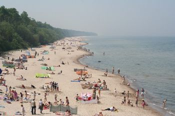 Strach nad Bałtykiem. Doniesienia o chorobie Zalewu Wiślanego