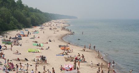 Strach nad Bałtykiem. Doniesienia o chorobie Zalewu Wiślanego