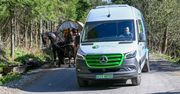 Zakopane: Elektryczne busy do Morskiego Oka coraz popularniejsze. A co z transportem konnym?
