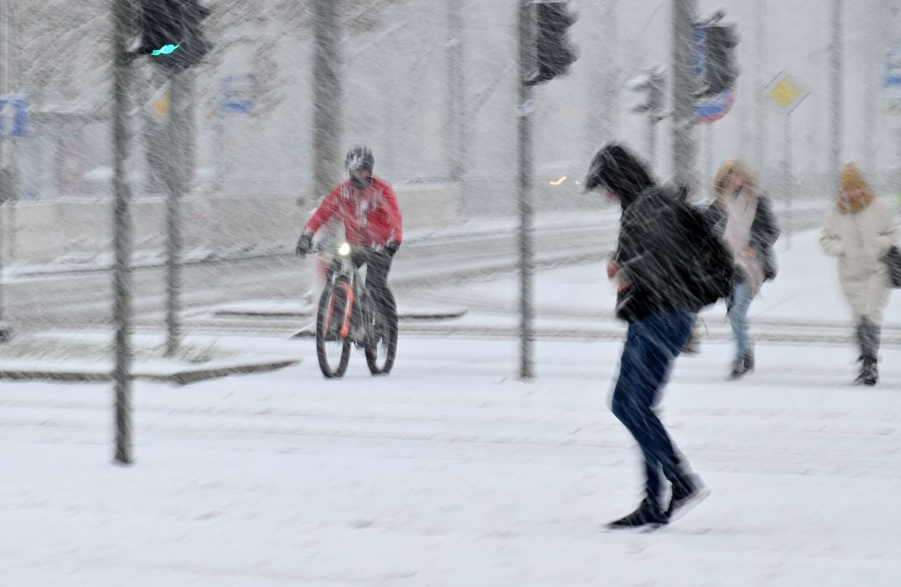 "Lecą do nas ptaki z północy". To pogodowy znak