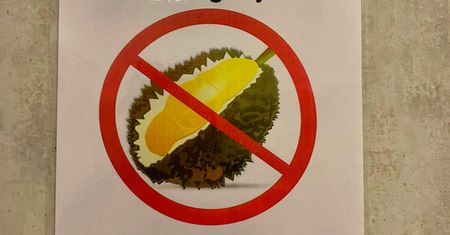 Owoc, który śmierdzi tak mocno, że jest zakazany w wielu miejscach publicznych. Dlaczego ludzie go jedzą?