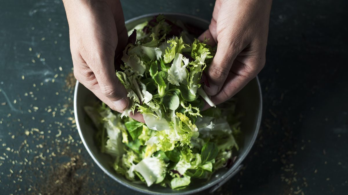 Endywia to roślina liściasta, przypominająca sałatę.